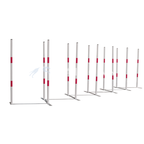 Zigzag Slalom